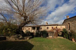 A garden outside Antico Gelso