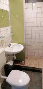 een badkamer met een witte wastafel en een toilet bij vakantiebungalow in Simpelveld