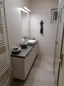 uma casa de banho com um lavatório e um espelho em Magdi Apartman em Balatonfüred