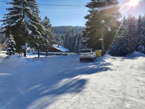 Apartments Michalka - ap. dom Skalka during the winter