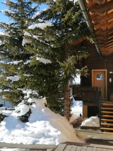 un árbol cubierto de nieve frente a una casa en Chalet Freita, en Livigno