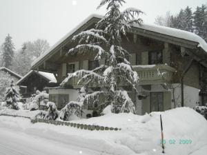 a snow covered tree in front of a house at Haus Annelies in Siegsdorf