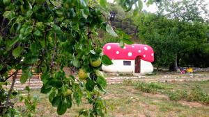 Fotografie z fotogalerie ubytování Krka fairytale village v destinaci Skradin