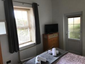 a bedroom with a bed and a tv and a window at Southover Beach in Woolacombe
