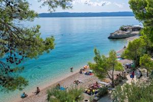 Príroda v okolí apartmánu