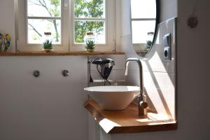 ein Bad mit einem Waschbecken und einem Spiegel in der Unterkunft Kleine Schwalbe in Kabelhorst