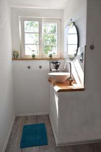 ein Bad mit einem Waschbecken und einem Spiegel in der Unterkunft Kleine Schwalbe in Kabelhorst