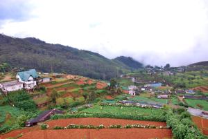 a lush green hillside surrounded by lush green plants at Cottage San Francesco in Nuwara Eliya