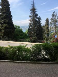 uma rua com árvores e uma estrada com arbustos em Charming Castagnola em Lugano