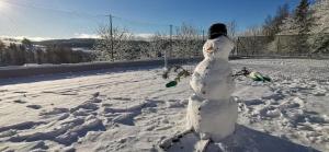 Billede fra billedgalleriet på hotel ZLATÝ POTOK i Nuzau