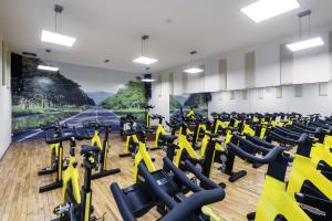 Phòng/tiện nghi tập thể dục tại Hotel Trópico
