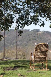 a chair sitting in the grass under a tree at Arriola Txiki in Itziar