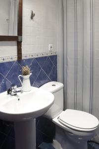 La salle de bains est pourvue de toilettes et d'un lavabo. dans l'établissement Arriola Txiki, à Itziar