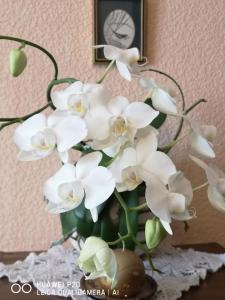 a vase filled with white flowers on a table at DvīņuMājas Vintage B&B in Balvi