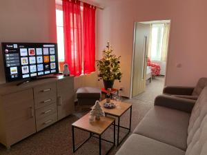TV a/nebo společenská místnost v ubytování Apartmán pod vlekem
