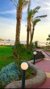 a park with palm trees and a path with flowers at 2nd Cecilia beach resort studio in Hurghada