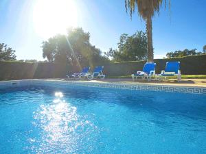 einen Pool mit blauen Stühlen und einer Palme in der Unterkunft Villa Martinica by Algarve Vacation in Guia