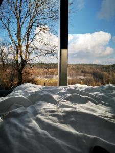 ReguliceにあるLushHills - Tiny House - Modern House On Wheelsの大きな窓付きの客室のベッド1台分です。 +1枚の写真