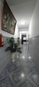 un pasillo con una planta en un jarrón sobre un suelo de baldosa en Hostal Las Palmeras, en Jaén
