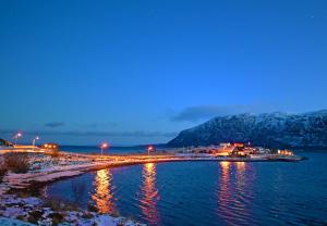 un corpo di acqua di notte con montagne sullo sfondo di Rivdnji Holiday Home Smørfjord a Russenes