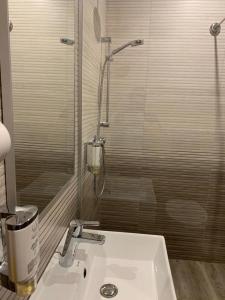 バイア・デ・フィエルにあるPensiunea Andreeaのバスルーム(白いシンク、シャワー付)