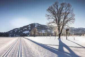 Pension Elisabeth im Winter