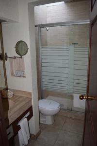a bathroom with a toilet and a mirror at Hotel La Joya Tulancingo in Tulancingo