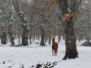 Obiekt Casa Rural Rincón zimą