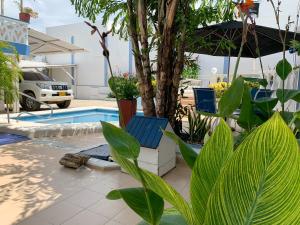 eine Terrasse mit blauen Stühlen, einem Baum und einem Pool in der Unterkunft Hotel Corozal Plaza in Corozal