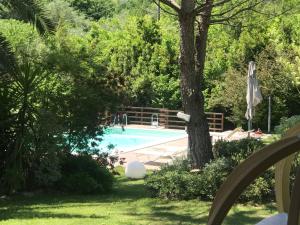 a swimming pool in a garden with a tree at Dimorra Country House in Castelvenere
