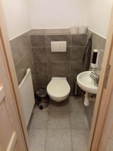 małą łazienkę z toaletą i umywalką w obiekcie Pension Fontána Svitavy w mieście Svitavy