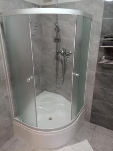 a shower with a glass door in a bathroom at Pension Fontána Svitavy in Svitavy