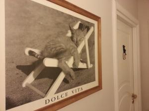 Gallery image of Hotel Il Gatto in Rapallo