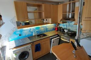 kuchnia ze zlewem i pralką w obiekcie Quiet apartment close to town w Villach