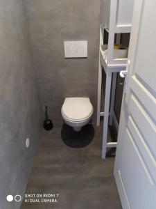 a bathroom with a toilet in a small room at Les Glycines in Guewenheim