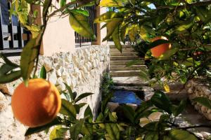 A garden outside El Molinet del Governador- Apartamentos Rurales