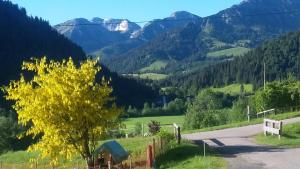 a road in the mountains with a yellow tree at Ferienhof Ammann in Bad Hindelang