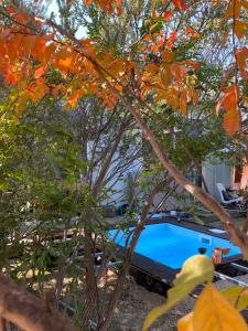 un camión estacionado junto a una piscina detrás de algunos árboles en Felina place by Shuli, en Ganne Yoẖanan