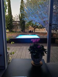a vase with flowers on a table in front of a pool at Felina place by Shuli in Ganne Yoẖanan