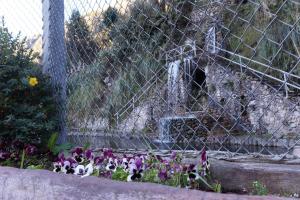 a bunch of flowers in front of a fence at Hostería Cabañas del Pescador in Cajas