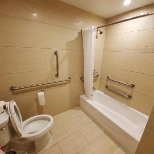 a bathroom with a toilet and a tub and a sink at Mayfair Inn and Suites in Queens
