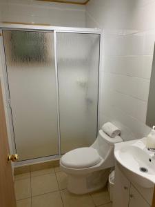 a bathroom with a shower and a toilet and a sink at Cabañas Huelquehue in Licán Ray