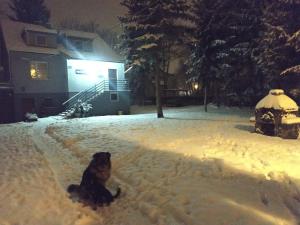 Gallery image of Nostalgia noclegi in Olsztyn