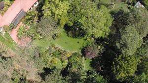 阿拉胡埃拉的住宿－塔卡科里生態旅舍，享有花园的顶部景致,花园内种有树木,房屋环绕