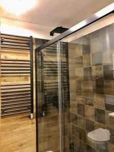 a glass shower in a bathroom with wooden floors at Central Apart Chalet in Breuil-Cervinia