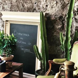 a chalkboard in a room with a chair and cactus at Château de Trigance in Trigance