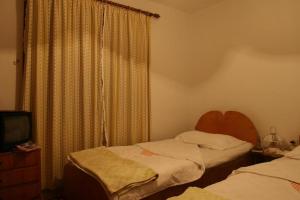 1 dormitorio con 2 camas, TV y cortinas en Guesthouse Pension Andrea, en Tirana