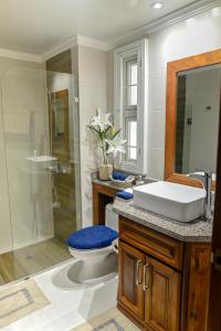 La salle de bains est pourvue de toilettes, d'une douche et d'un lavabo. dans l'établissement Espacio Tropical a pasos de la playa caribeña, à Punta Cana