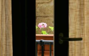 トラーパニにあるガファダ 2の窓の鉢のピンクの花