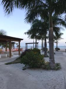 Gallery image of Playa Caracol Beachfront Residence Club in Chame